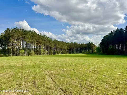 00875 Stump Bridge Rd, Canton, MS 39046 photo 16