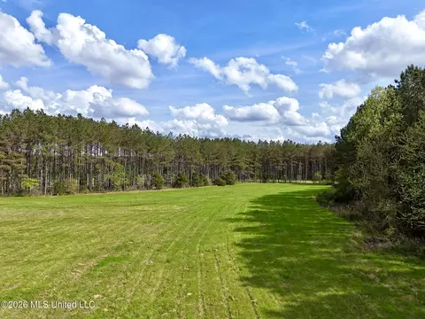 00875 Stump Bridge Rd, Canton, MS 39046 photo 5