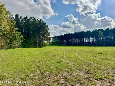00875 Stump Bridge Rd, Canton, MS 39046 photo 14