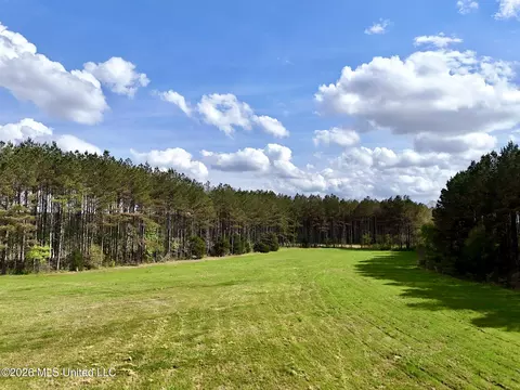 00875 Stump Bridge Rd, Canton, MS 39046 photo 10