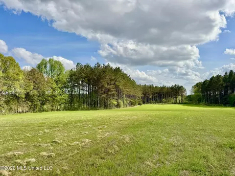 00875 Stump Bridge Rd, Canton, MS 39046 photo 19
