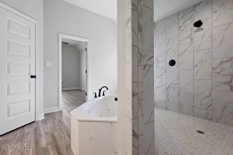 Bath - 13758 Jack Thomas Blvd, Olive Branch, MS 38654 photo 4 of 6
