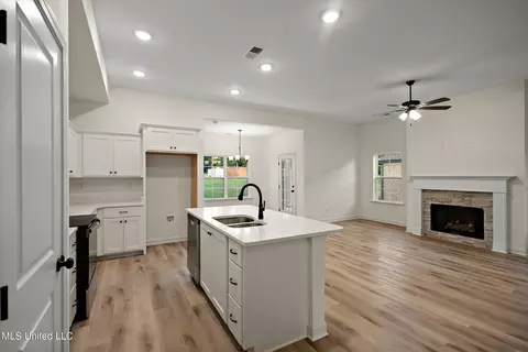 Other - 6464 Chloe Way, Walls, MS 38680 photo 1 of 4