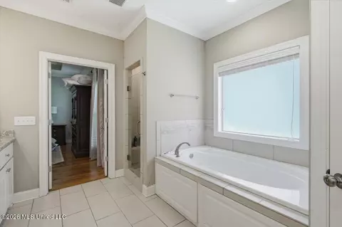 Bath - 230 Grayhawk Dr, Madison, MS 39110 photo 2 of 6