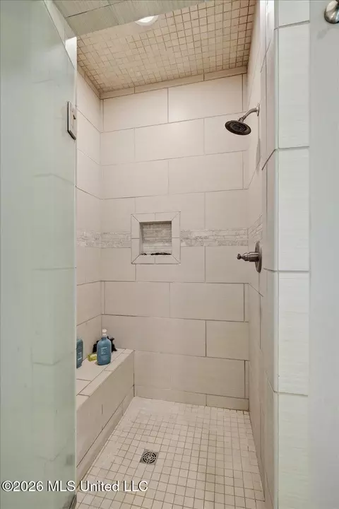 Bath - 230 Grayhawk Dr, Madison, MS 39110 photo 3 of 6