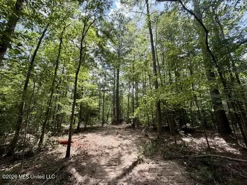 SE Lee Drive, Bogue Chitto, MS 39629 photo 5