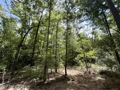 SE Lee Drive, Bogue Chitto, MS 39629 photo 13