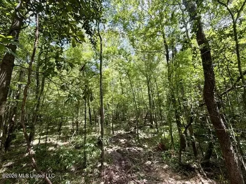 SE Lee Drive, Bogue Chitto, MS 39629 photo 15