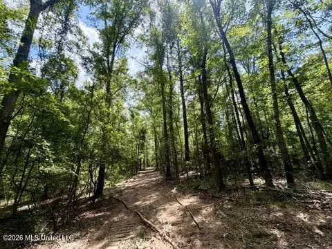 SE Lee Drive, Bogue Chitto, MS 39629 photo 12