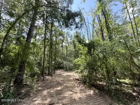 SE Lee Drive, Bogue Chitto, MS 39629 photo 4