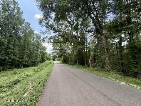 SE Lee Drive, Bogue Chitto, MS 39629 photo 17