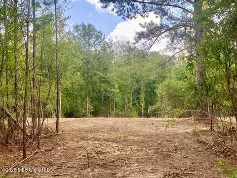 SE Lee Drive, Bogue Chitto, MS 39629 photo 3