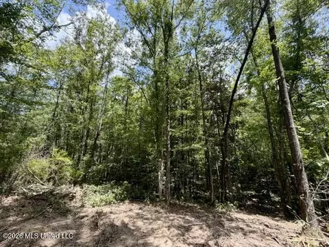 SE Lee Drive, Bogue Chitto, MS 39629 photo 14