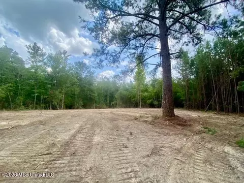 SE Lee Drive, Bogue Chitto, MS 39629 photo 2