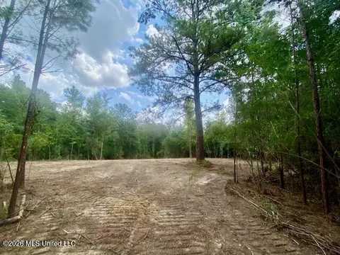SE Lee Drive, Bogue Chitto, MS 39629 photo 6