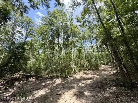 SE Lee Drive, Bogue Chitto, MS 39629 photo 16