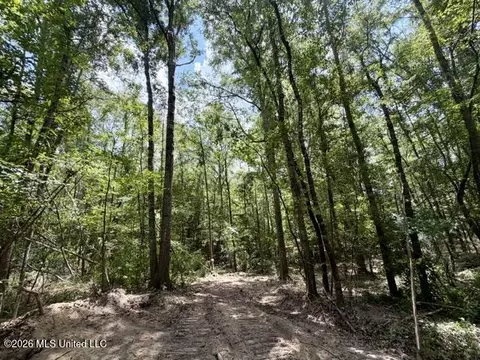 SE Lee Drive, Bogue Chitto, MS 39629 photo 11