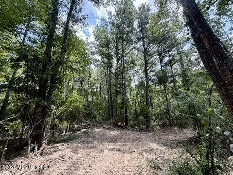 SE Lee Drive, Bogue Chitto, MS 39629 photo 9
