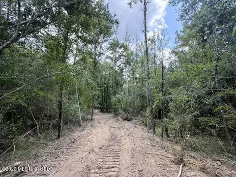 SE Lee Drive, Bogue Chitto, MS 39629 photo 8