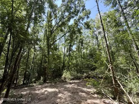 SE Lee Drive, Bogue Chitto, MS 39629 photo 10