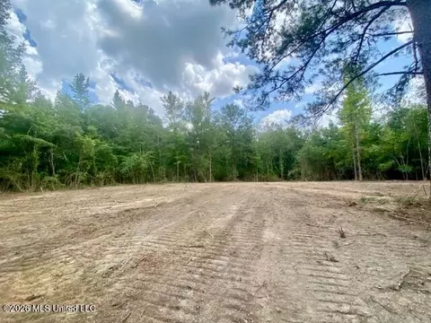 SE Lee Drive, Bogue Chitto, MS 39629 photo 7