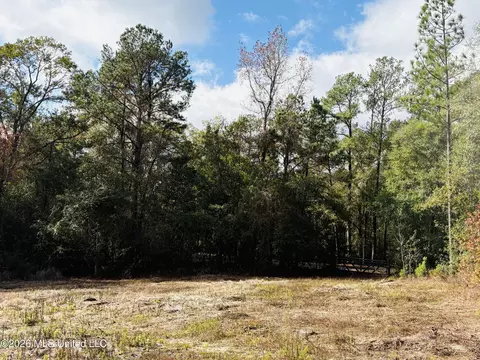 E Beasley Road, Lucedale, MS 39452 photo 5