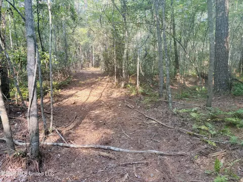 E Beasley Road, Lucedale, MS 39452 photo 19