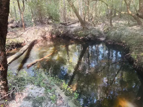 E Beasley Road, Lucedale, MS 39452 photo 17