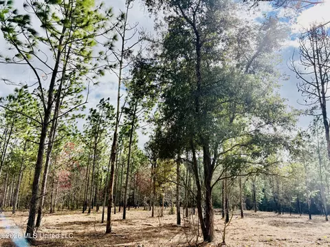 E Beasley Road, Lucedale, MS 39452 photo 4