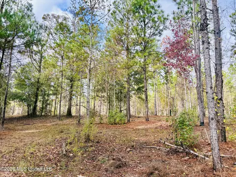 E Beasley Road, Lucedale, MS 39452 photo 7
