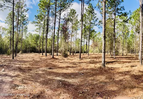 E Beasley Road, Lucedale, MS 39452 photo 2