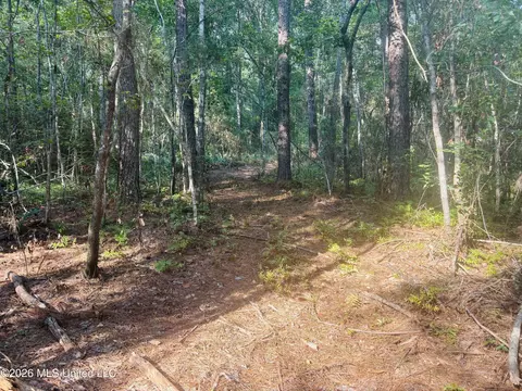 E Beasley Road, Lucedale, MS 39452 photo 16