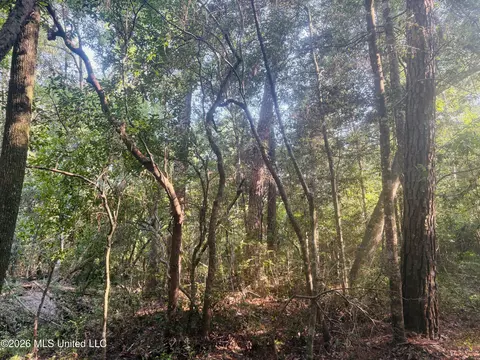 E Beasley Road, Lucedale, MS 39452 photo 12