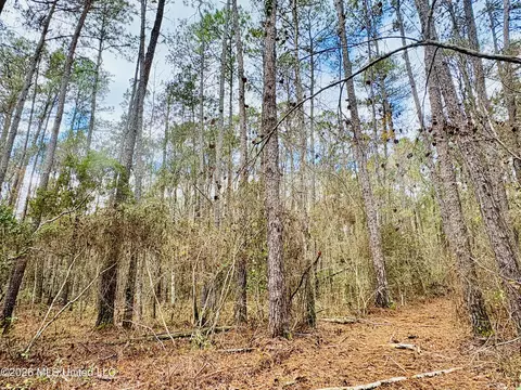 E Beasley Road, Lucedale, MS 39452 photo 9