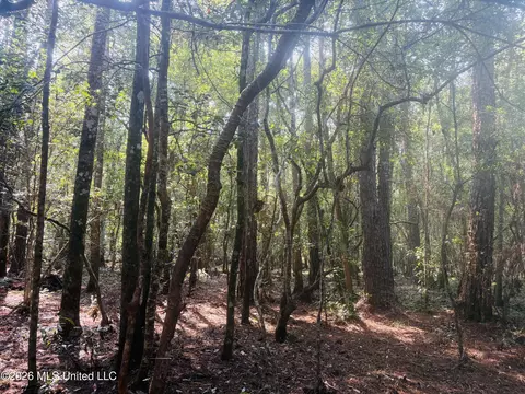 E Beasley Road, Lucedale, MS 39452 photo 14