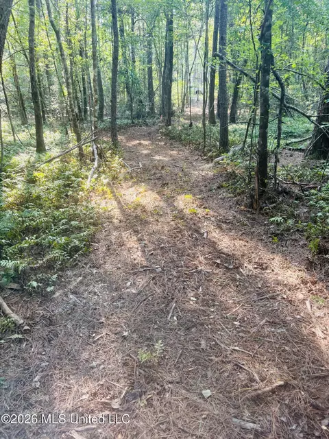 E Beasley Road, Lucedale, MS 39452 photo 6