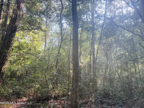 E Beasley Road, Lucedale, MS 39452 photo 20