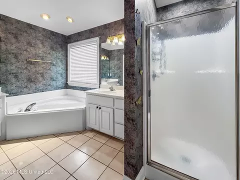 Bath - 540 Brighton Cir, Brandon, MS 39047 photo 2 of 5