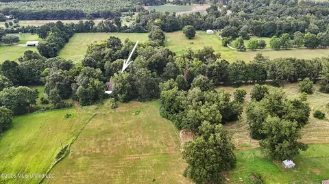 Other - 2147 Hwy 613, Lucedale, MS 39452 photo 17 of 18