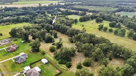 View/Area - 2147 Hwy 613, Lucedale, MS 39452 photo 2 of 2