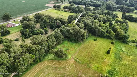 Other - 2147 Hwy 613, Lucedale, MS 39452 photo 13 of 18