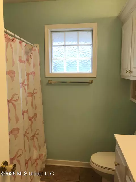 Bath - 212 Cherrybark Ln, Brandon, MS 39047 photo 3 of 4