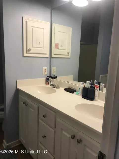 Bath - 212 Cherrybark Ln, Brandon, MS 39047 photo 1 of 4
