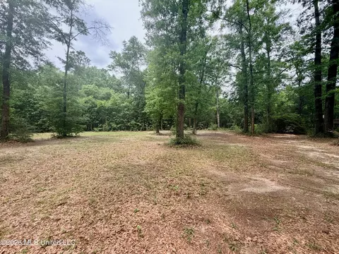 Exterior - 181 Geiger Rd, Lucedale, MS 39452 photo 4 of 17