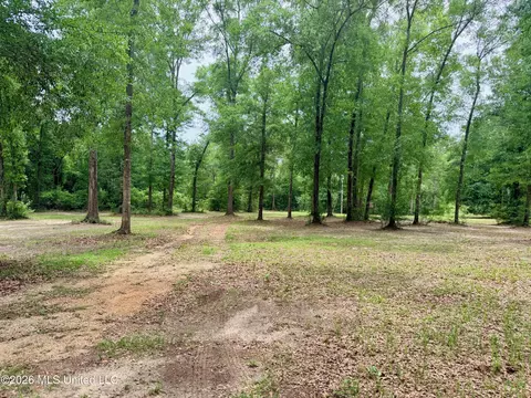 Other - 181 Geiger Rd, Lucedale, MS 39452 photo 8 of 8