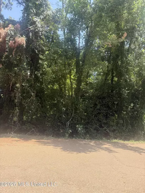 0 Woodhaven, Natchez, MS 39120 photo 6