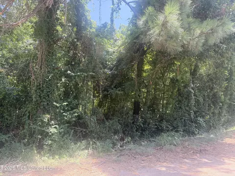 0 Woodhaven, Natchez, MS 39120 photo 2
