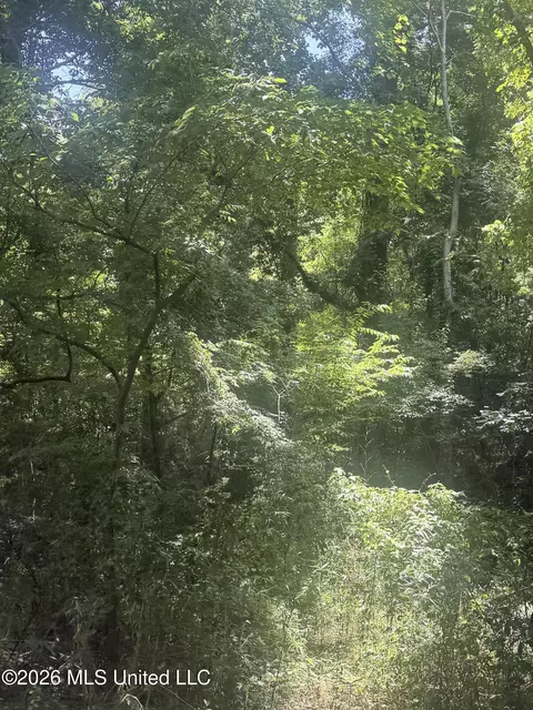 0 Woodhaven, Natchez, MS 39120 photo 4