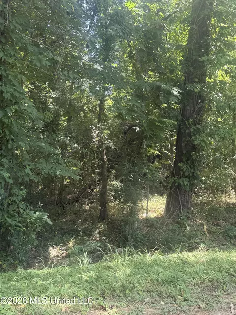 0 Woodhaven, Natchez, MS 39120 photo 3