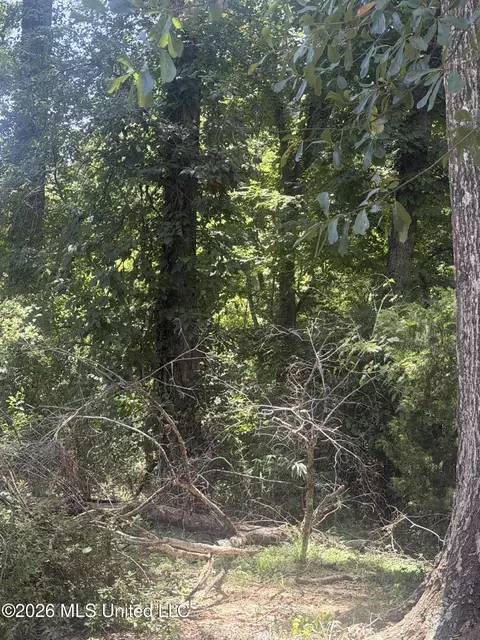 0 Woodhaven, Natchez, MS 39120 photo 5
